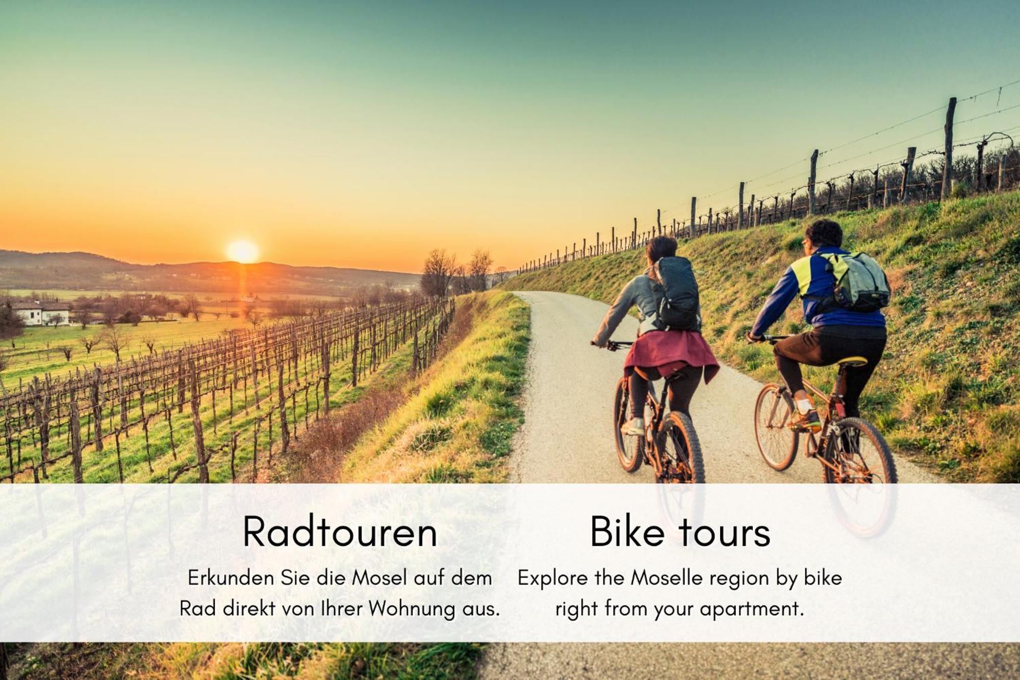 Apartament Winzerhaus Am Calmont - Charme & Moselblick Bremm Zewnętrze zdjęcie